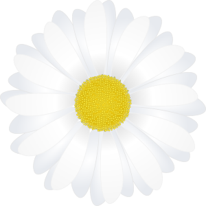 openclipart圖庫：chamomile RamunÄ—lÄ— 