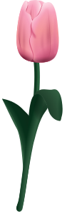 openclipart圖庫：Tulpe tultip