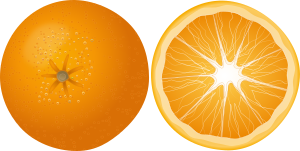 openclipart圖庫：Orange Apelsinas