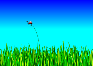 openclipart圖庫：Grass with bug