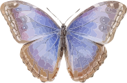 openclipart圖庫：Morpho helenor