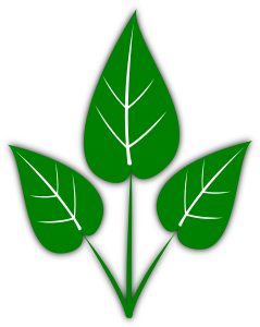 openclipart圖庫：Leaves