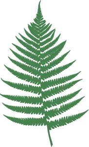 openclipart圖庫：Fern leaf