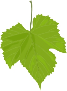 openclipart圖庫：Grape Leaf