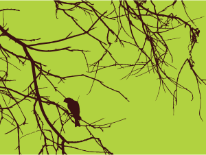 openclipart圖庫：Bird Branches