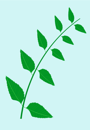 openclipart圖庫：Nature Medic