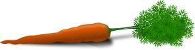 openclipart圖庫：whole carrot