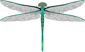 openclipart圖庫：teal dragonfly