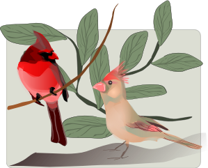 openclipart圖庫：Two Birds Background