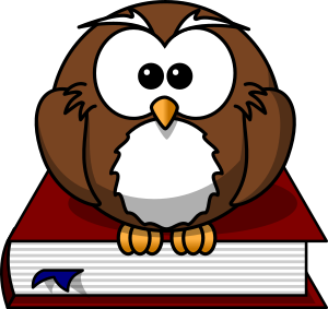 openclipart圖庫：Cartoon owl sitting on a book