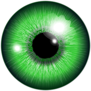 openclipart圖庫：eye, akis Å¾alia
