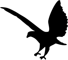 openclipart圖庫：Eagle silhouette 2