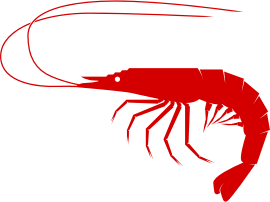 openclipart圖庫：Shrimp