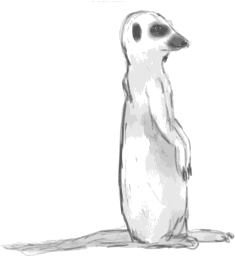 openclipart圖庫：Meerkat Sketch