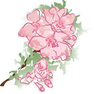 openclipart圖庫：decoration flower 2