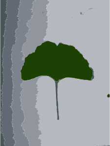 openclipart圖庫：Gingko leaf