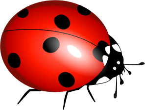 openclipart圖庫：ladybug, ladybirds, boruÅ¾Ä—