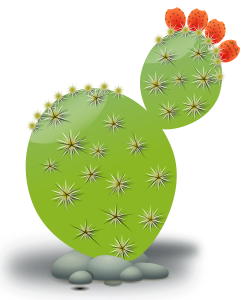 openclipart圖庫：Cactus
