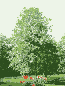 openclipart圖庫：tree at my parents missouri home