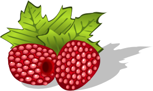openclipart圖庫：raspberries, avietes, berries, uogos, food