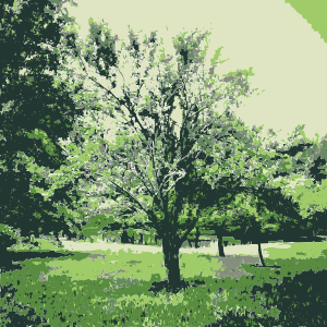 openclipart圖庫：Green nature 1