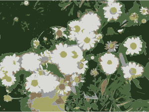 openclipart圖庫：So many Missouri aiflowers flowers 1