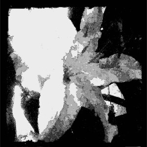 openclipart圖庫：Aiflowers poster copy flower