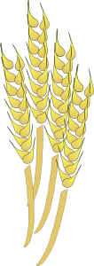 openclipart圖庫：Wheat
