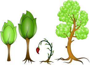 openclipart圖庫：Plantas
