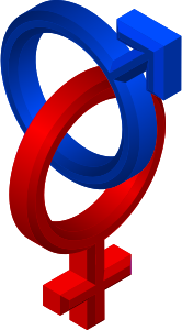 openclipart圖庫：Male/Female Symbols