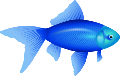 openclipart圖庫：not gold fish, ne auksinÄ— Å¾uvelÄ—