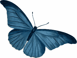 openclipart圖庫：Blue Butterfly