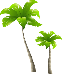 openclipart圖庫：Palm Trees - Palmiers