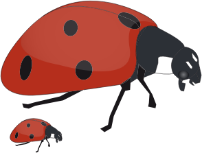 openclipart圖庫：ladybug