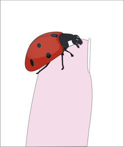 openclipart圖庫：ladybug