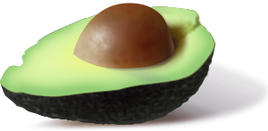 openclipart圖庫：Avocado