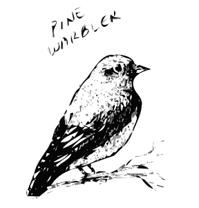 openclipart圖庫：Pine Warbler Bird