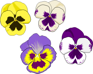openclipart圖庫：Pansy Selection