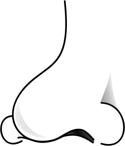 openclipart圖庫：nose 2