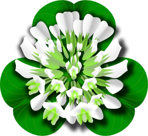openclipart圖庫：White Clover Flower