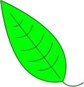 openclipart圖庫：Leaf - Green Simple Leaf