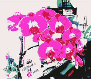 openclipart圖庫：An orchid for jilllio