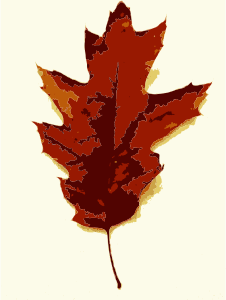 openclipart圖庫：More fall tree leaves 3