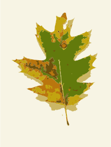 openclipart圖庫：Missouri Fall Tree Leaves 1