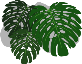 openclipart圖庫：Philodendron