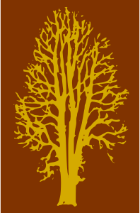 openclipart圖庫：Beech Tree - 2 Colours