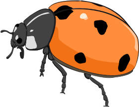 openclipart圖庫：Coccinelle, ladybug