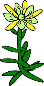 openclipart圖庫：GG saxifraga aizoides