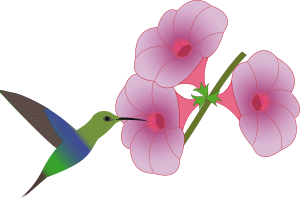 openclipart圖庫：pretty hummingbird