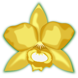 openclipart圖庫：cattleya